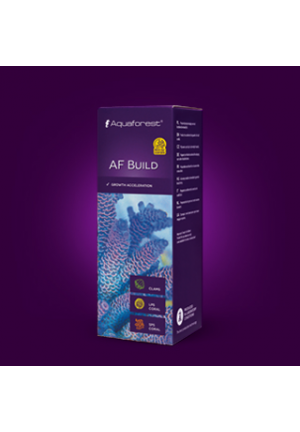 AF Build (Coral-B)